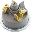 Pentair® Purex® Pressure Switch for MasterTemp (3902)