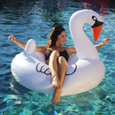 Swan Party Tube Inflatable Raft