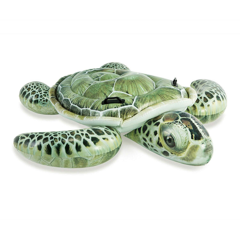 Sea Turtle Ride-On - Realistic