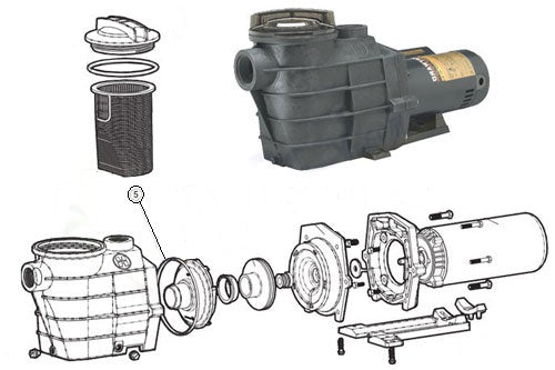 Seal Plate / Housing Gasket Replacement for Hayward® Super II® Pump by Optimum Pool Technologies