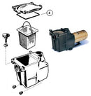 Generic Replacement Square Lid O-Ring For Hayward® Super Pump® by Optimum Pool Technologies