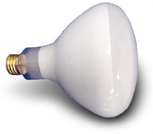 Pool Light Replacement Flood Bulb