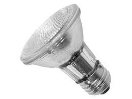 Spa Light Replacement Bulb PAR20 Halogen 120V