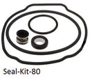 Replacement Pump Seals & Seal Kits