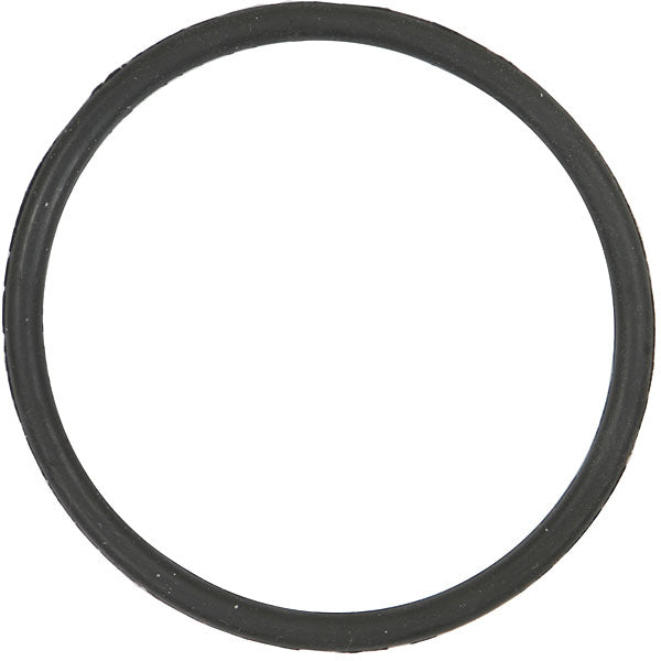 Generic Replacement for Hayward® T-Cell® O-Ring (2PK) by Optimum Pool Technologies
